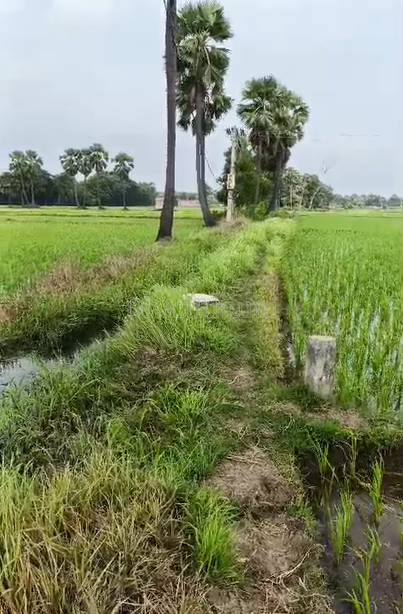 property_images/agricultural_in_patna_1787141558_6a859db618783.png