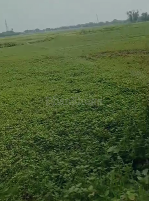 property_images/agricultural_in_patna_1791955433_6acf11e9c0e9e.png