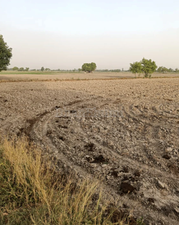 property_images/agricultural_in_patna_1791961305_6acf28d999700.png
