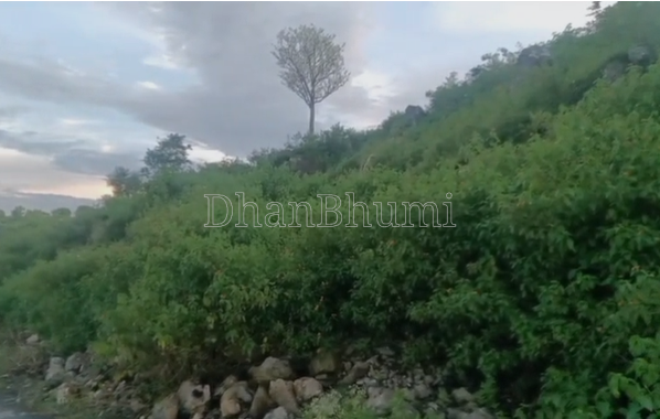 property_images/agricultural_in_pauri_garhwal_1789819955_6aae7c33d74e2.png