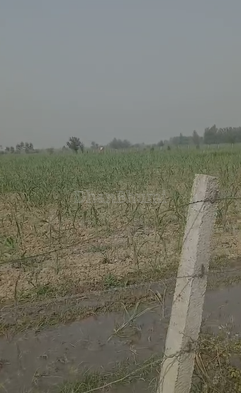 property_images/agricultural_in_pilibhit_1782199400_6a3a3468bcfb3.png