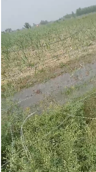 property_images/agricultural_in_pilibhit_1782199400_6a3a3468d5368.png