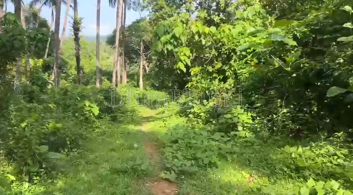 property_images/agricultural_in_ponda_1792393363_6ad5c0930730f.PNG