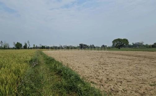 property_images/agricultural_in_prayagraj_1781515872_6a2fc6605b45c.jpg