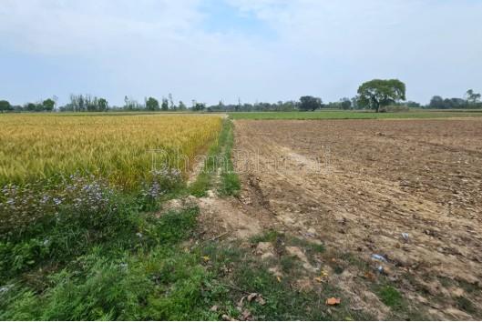 property_images/agricultural_in_prayagraj_1781516333_6a2fc82d07e76.jpg