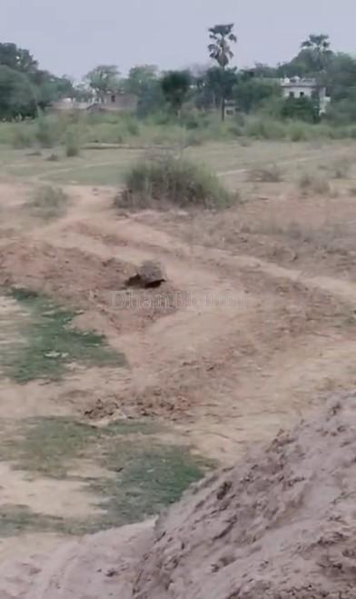 property_images/agricultural_in_prayagraj_1782546122_6a3f7eca6e4e5.jpg
