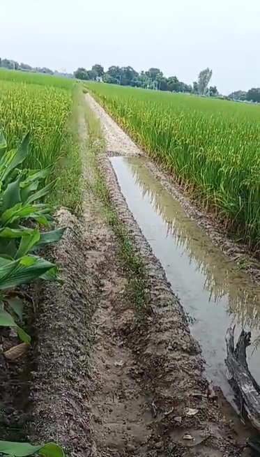 property_images/agricultural_in_prayagraj_1790589779_6aba3b53b7f7b.png