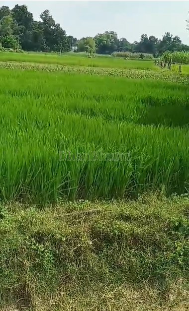property_images/agricultural_in_prayagraj_1790590081_6aba3c8113d07.png