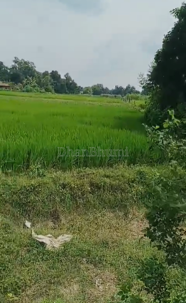 property_images/agricultural_in_prayagraj_1790590081_6aba3c81301cb.png