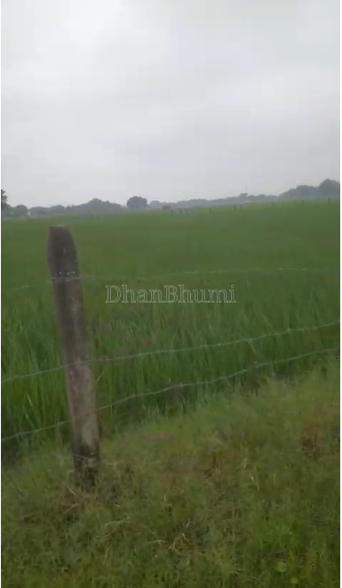 property_images/agricultural_in_prayagraj_1790679447_6abb9997cb258.png