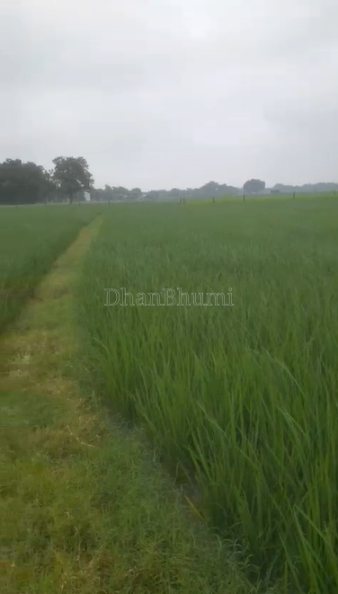 property_images/agricultural_in_prayagraj_1790679447_6abb9997e005f.png