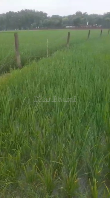 property_images/agricultural_in_prayagraj_1790679448_6abb9998023bd.png