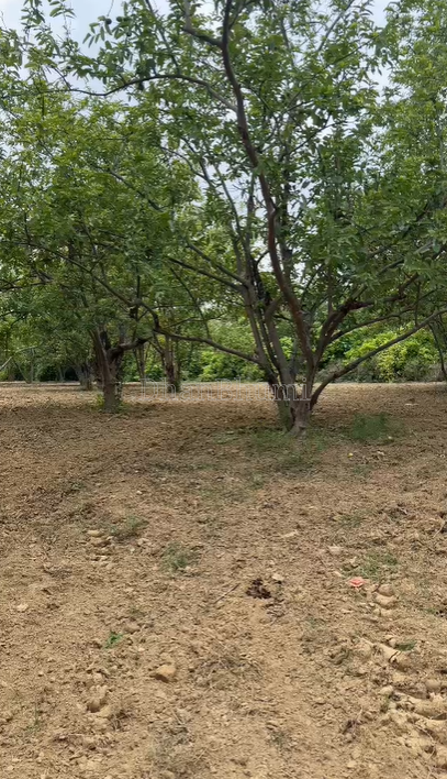 property_images/agricultural_in_prayagraj_allahabad_1789453725_6aa8e59d4c46a.png