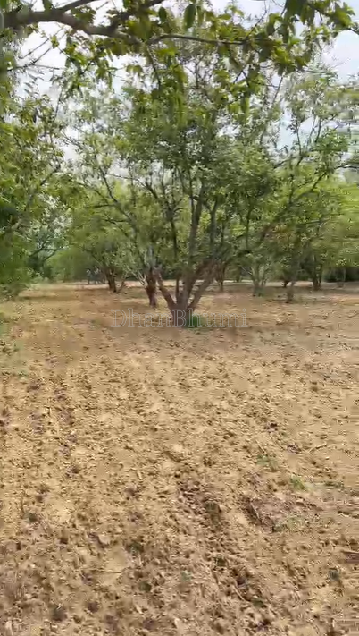 property_images/agricultural_in_prayagraj_allahabad_1789453725_6aa8e59d87748.png