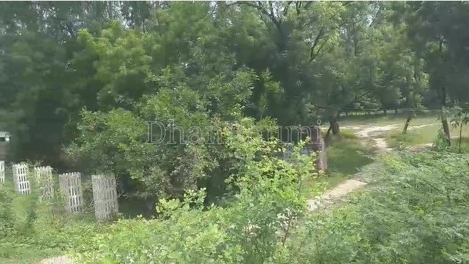 property_images/agricultural_in_prayagraj_allahabad_1790577128_6aba09e84a4c7.png