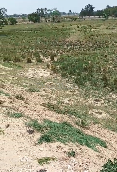 property_images/agricultural_in_prayagraj_allahabad_1790580653_6aba17ad3df4d.png