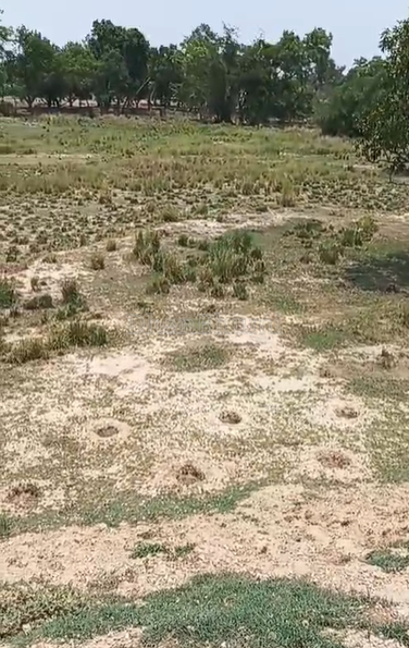 property_images/agricultural_in_prayagraj_allahabad_1790580653_6aba17ad6d2c8.png