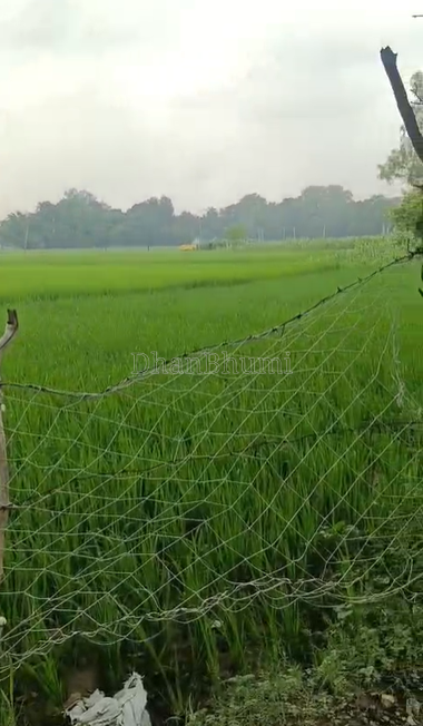 property_images/agricultural_in_prayagraj_allahabad_1790589452_6aba3a0c467b2.png