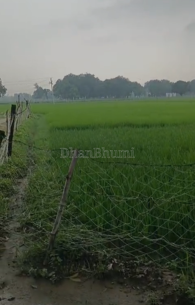 property_images/agricultural_in_prayagraj_allahabad_1790589452_6aba3a0c669b3.png