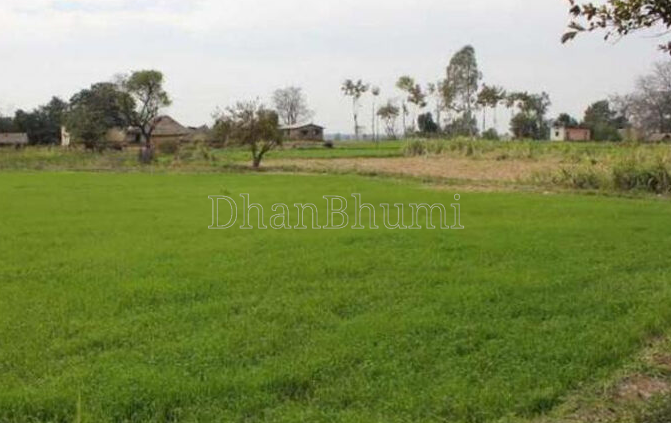 property_images/agricultural_in_pune_1787651451_6a8d657b086df.PNG