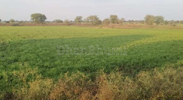 property_images/agricultural_in_pune_1787831228_6a9023bc1a689.PNG