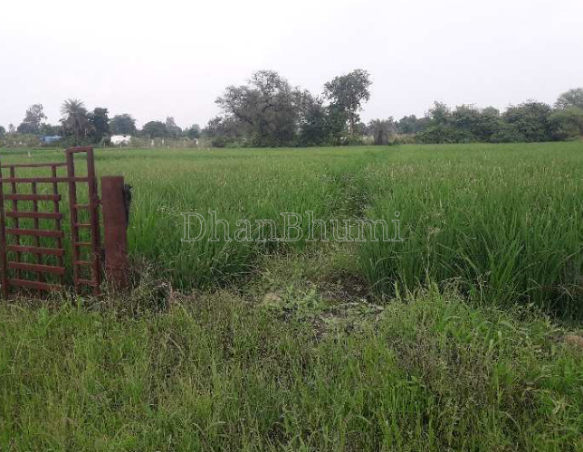 property_images/agricultural_in_pune_1787831731_6a9025b3044e3.PNG