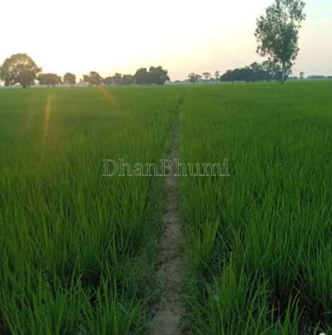 property_images/agricultural_in_pune_1787832020_6a9026d4a073a.PNG