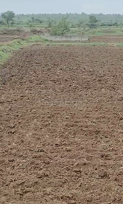 property_images/agricultural_in_pune_1789023563_6aa2554b672b6.png