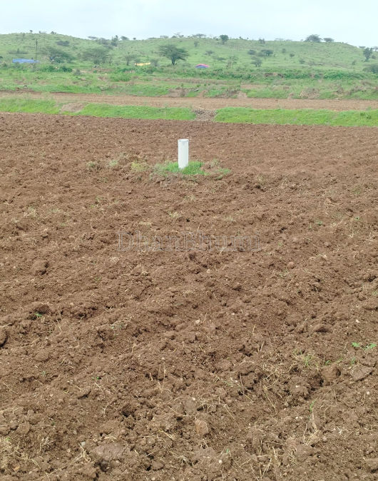 property_images/agricultural_in_pune_1789023563_6aa2554b8878a.png