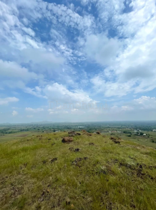 property_images/agricultural_in_pune_1789815675_6aae6b7ba8398.png