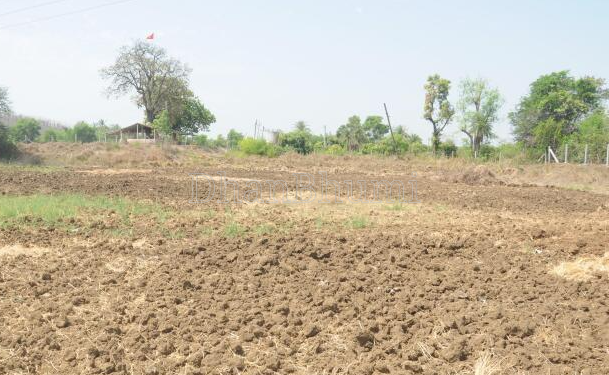 property_images/agricultural_in_purba_bardhaman_1790747592_6abca3c851616.png
