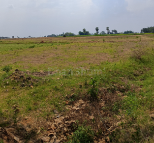 property_images/agricultural_in_purba_medinipur_1782544636_6a3f78fcdb2e7.PNG