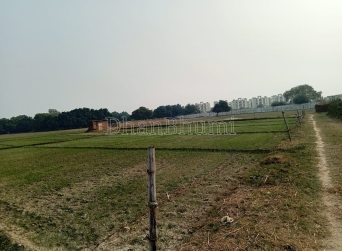 property_images/agricultural_in_puri_1787746760_6a8ed9c86d3da.PNG