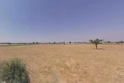 property_images/agricultural_in_pushkar_1781507837_6a2fa6fd10f94.jpg