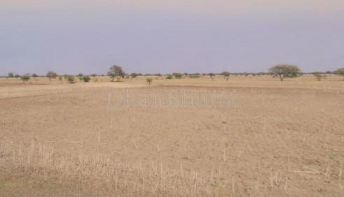 property_images/agricultural_in_pushkar_1781510116_6a2fafe4af86a.jpg