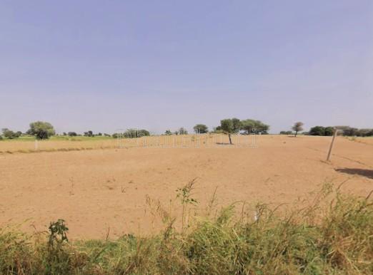 property_images/agricultural_in_pushkar_1781510586_6a2fb1ba3f26a.jpg