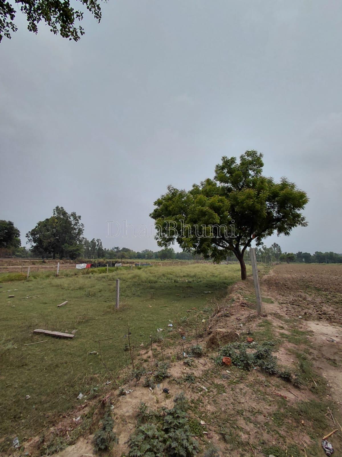 featured_img