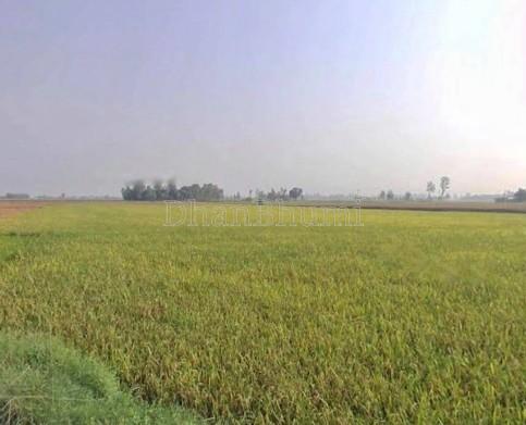 featured_img