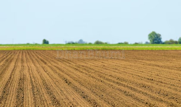 property_images/agricultural_in_raebareli_1786168920_6a76c6580782b.png