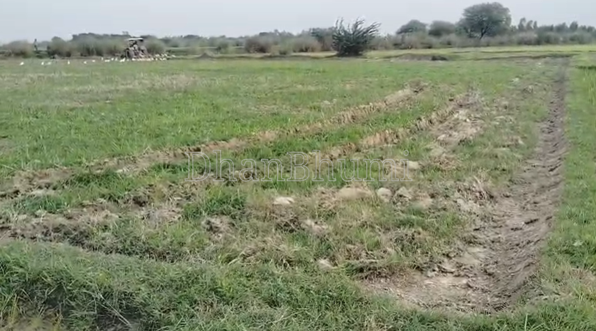 property_images/agricultural_in_raebareli_1788934557_6aa0f99d99f42.png