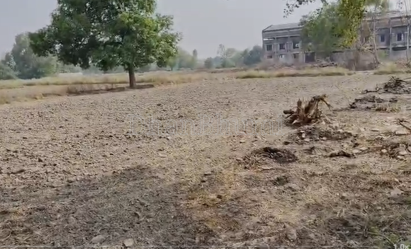 property_images/agricultural_in_raebareli_1790589168_6aba38f0a1bca.png