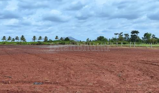 property_images/agricultural_in_raichur_1785926104_6a7311d83faae.png