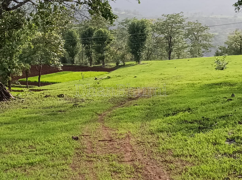 property_images/agricultural_in_raigad_1784196076_6a58abec5fd21.PNG