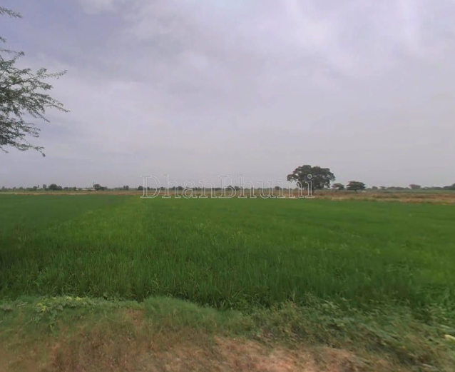 property_images/agricultural_in_raigad_1785221504_6a68518028fe7.PNG