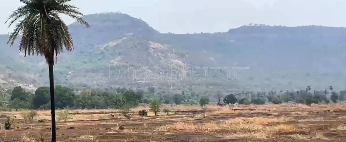 property_images/agricultural_in_raigad_1785404551_6a6b1c874bff8.png