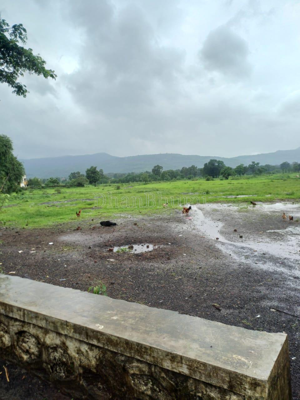 property_images/agricultural_in_raigad_1786700136_6a7ee168c2bf4.jpeg