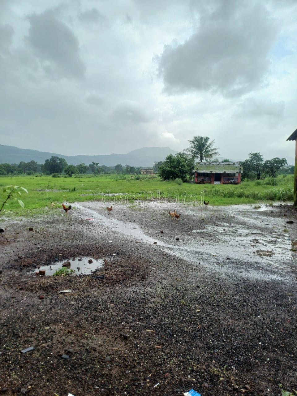 property_images/agricultural_in_raigad_1786700136_6a7ee168cfd92.jpeg