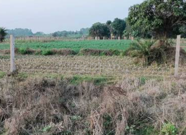 property_images/agricultural_in_raigad_1787381171_6a8945b30dcb3.png