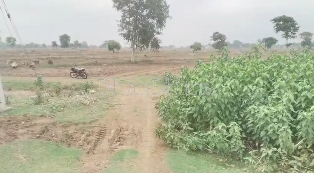 property_images/agricultural_in_raipur_1783151355_6a48bafb25d7d.PNG