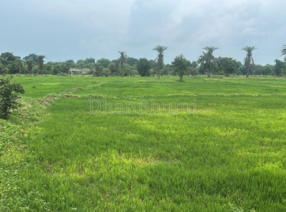 property_images/agricultural_in_raipur_1783416272_6a4cc5d02e6ff.PNG